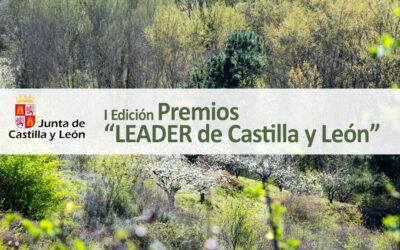 I Edición del Premio LEADER de Castilla y León